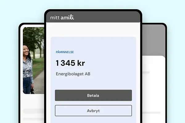 mitt-amili